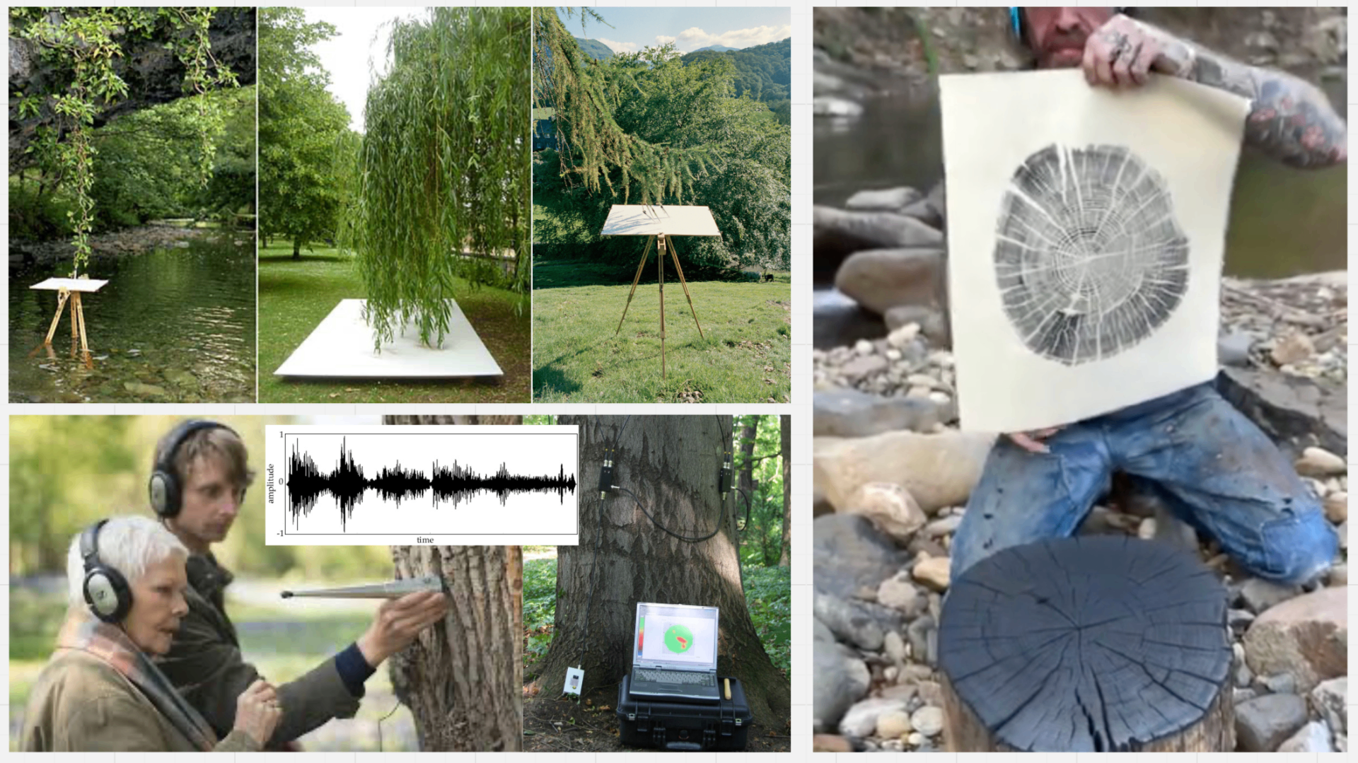 The Trees moodboard