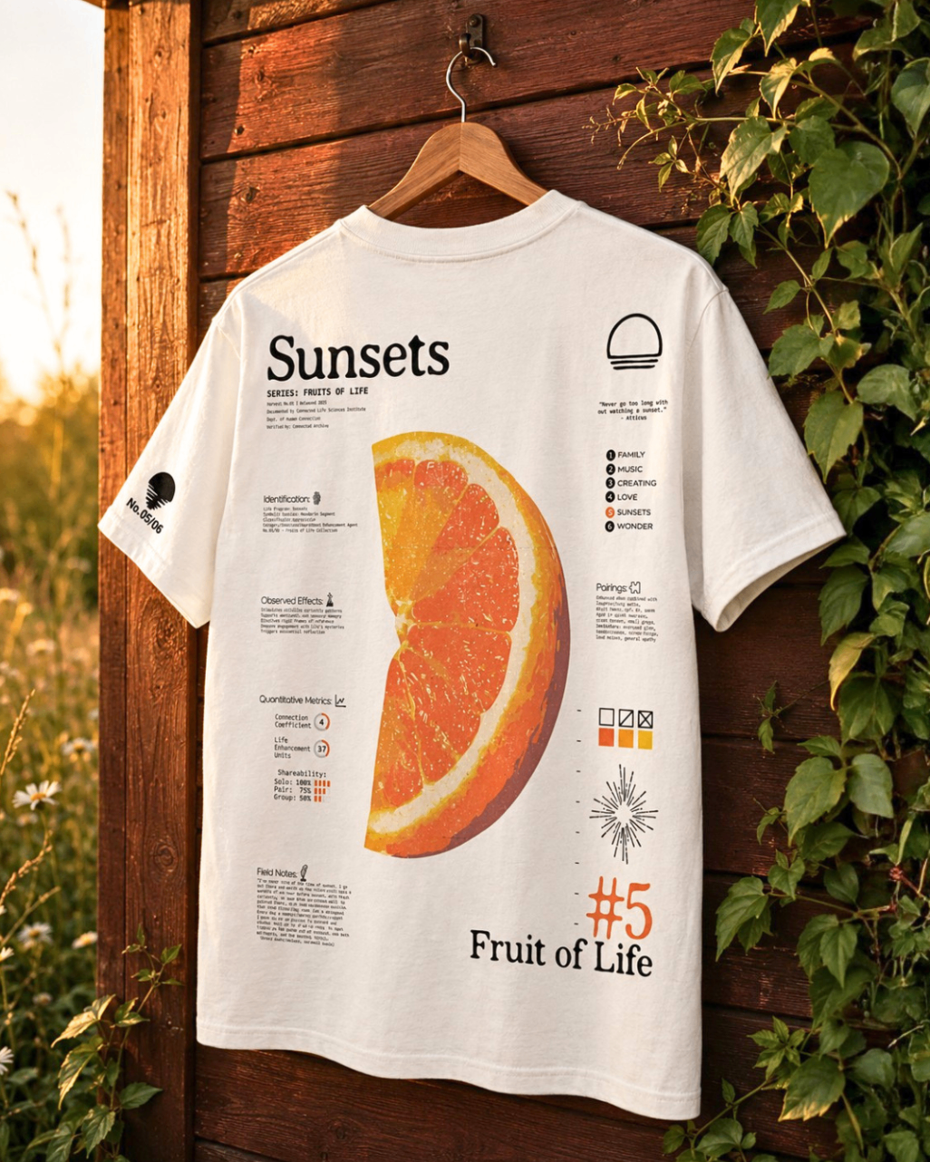 SUNSETS product shot