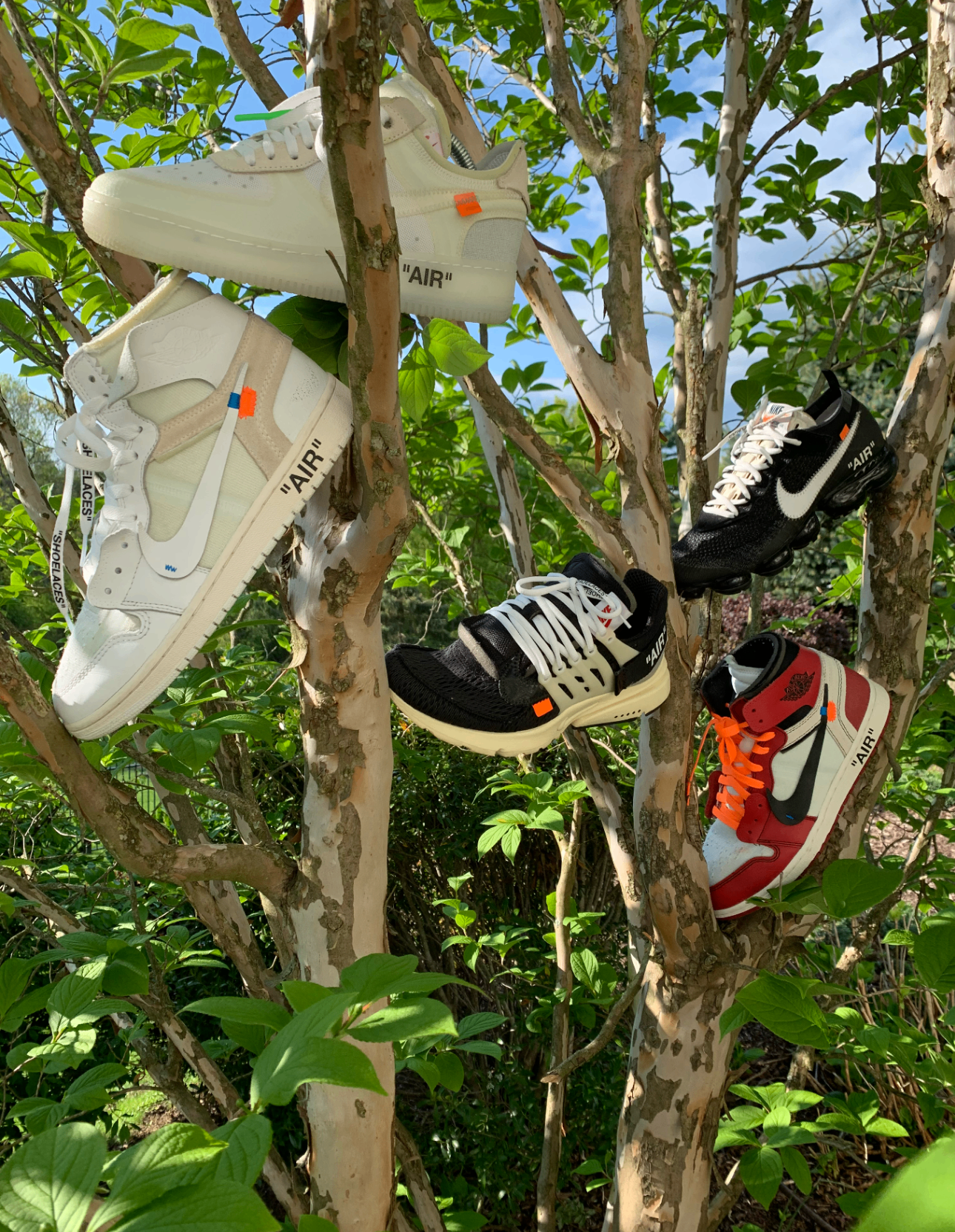 Off-White Nike sneakers arranged in a tree