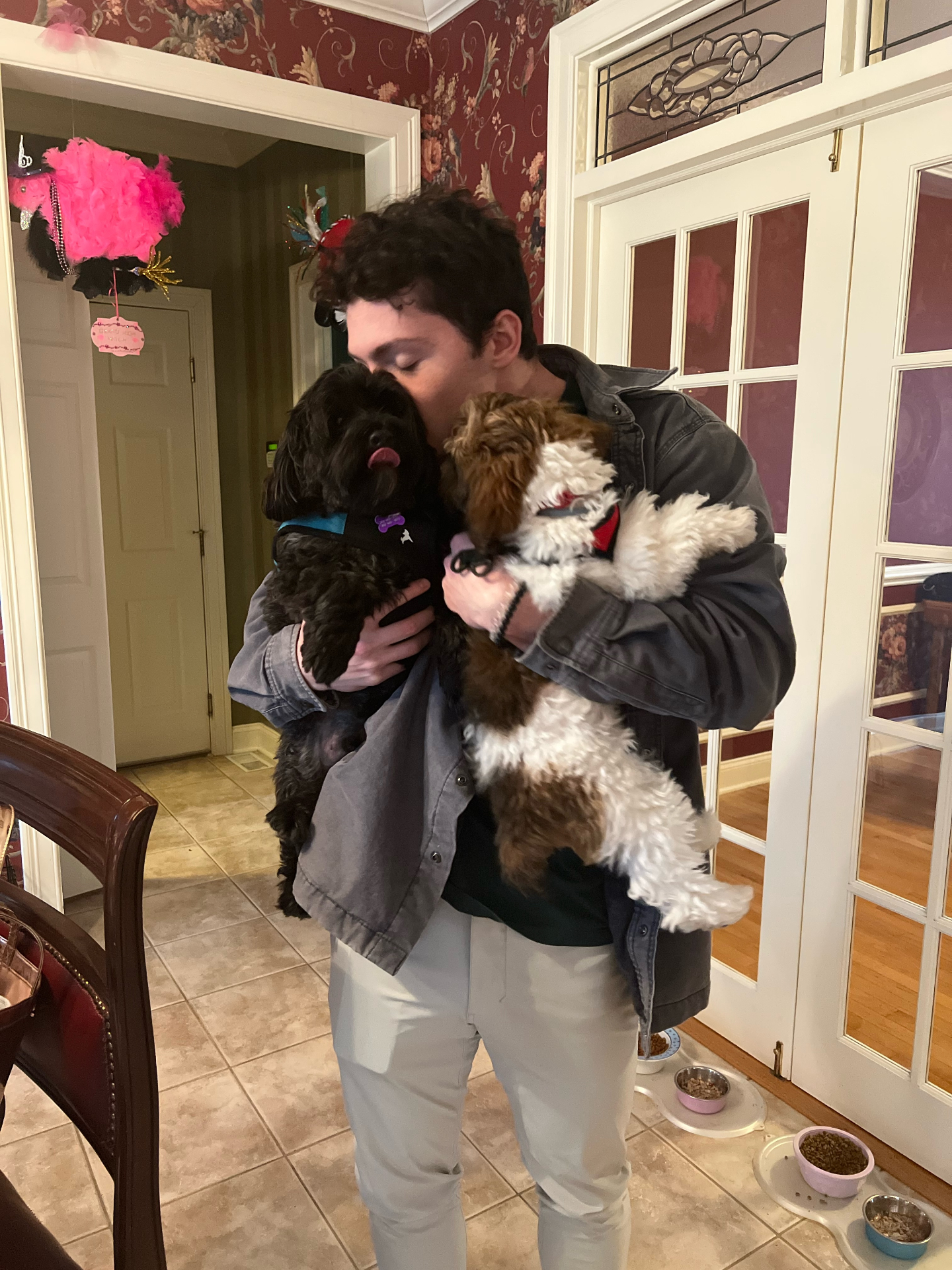 Holding two dogs