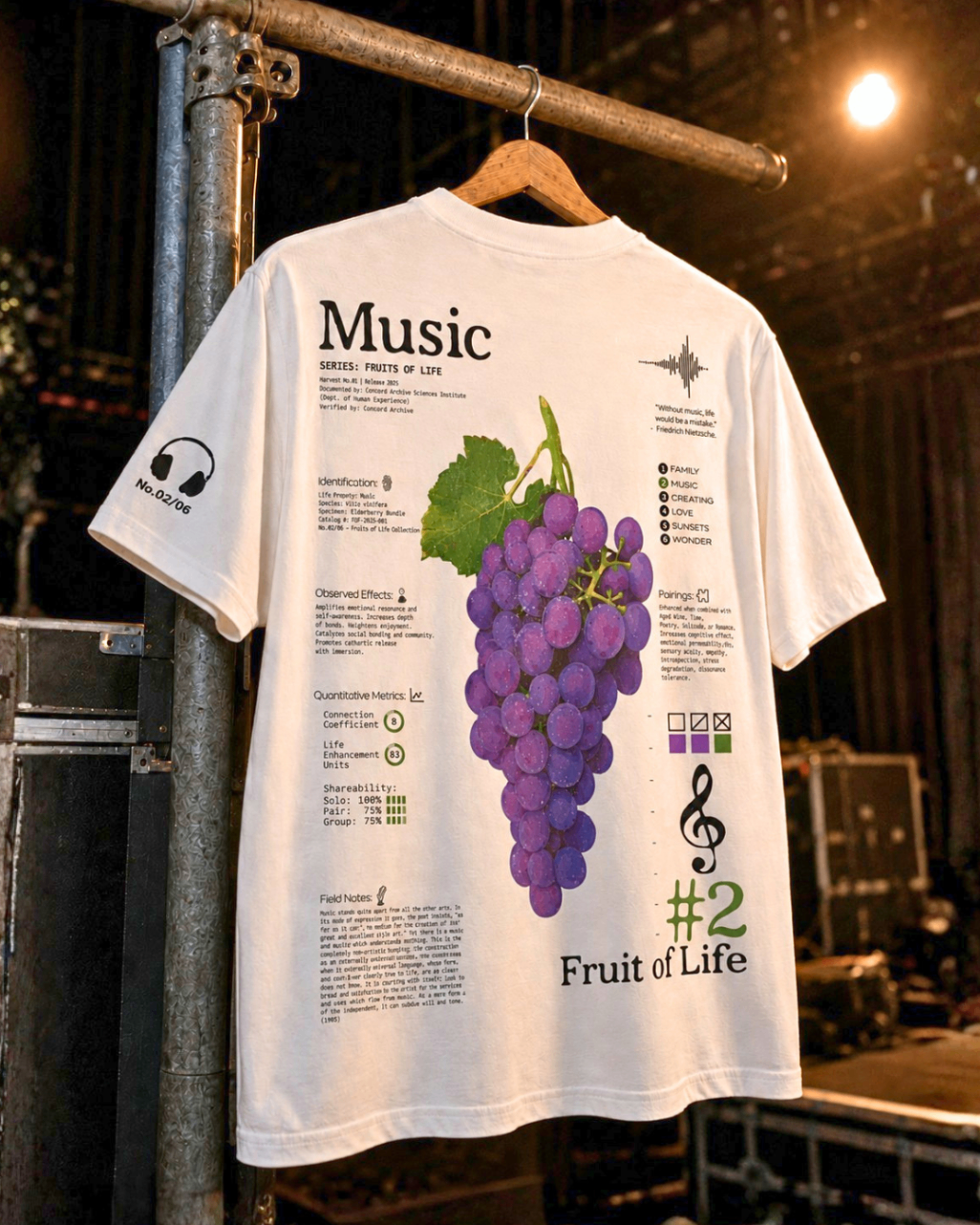 Fruits of Life music shirt